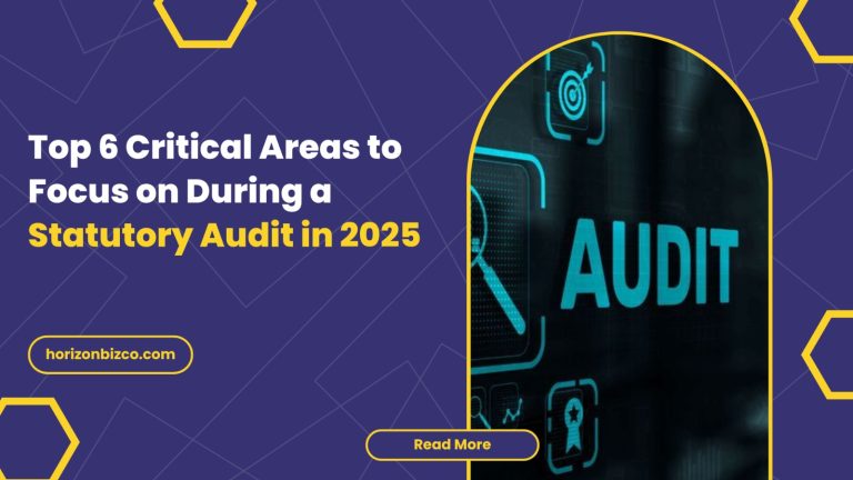 this image is about "Statutory Audit in critical areas"