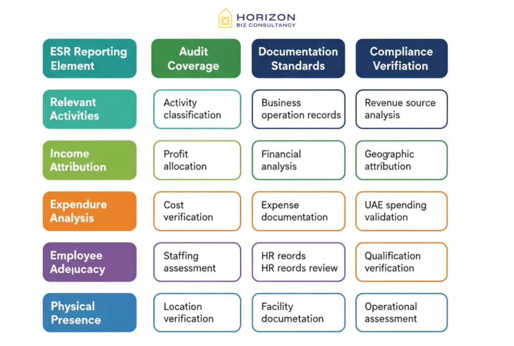 this graphical image is representing "esr integrated with audit framework"